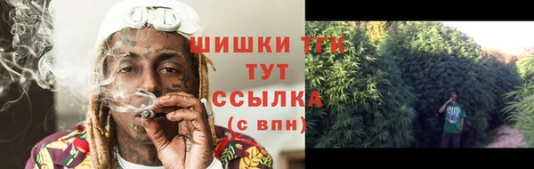 spice Алзамай
