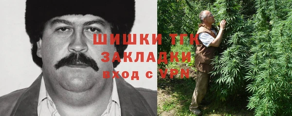 spice Алзамай