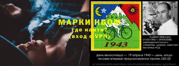 сатива Алексеевка