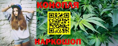 крисы Рузаевка
