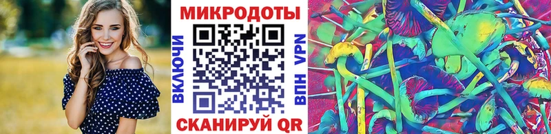 Псилоцибиновые грибы Psilocybe  Ярцево 