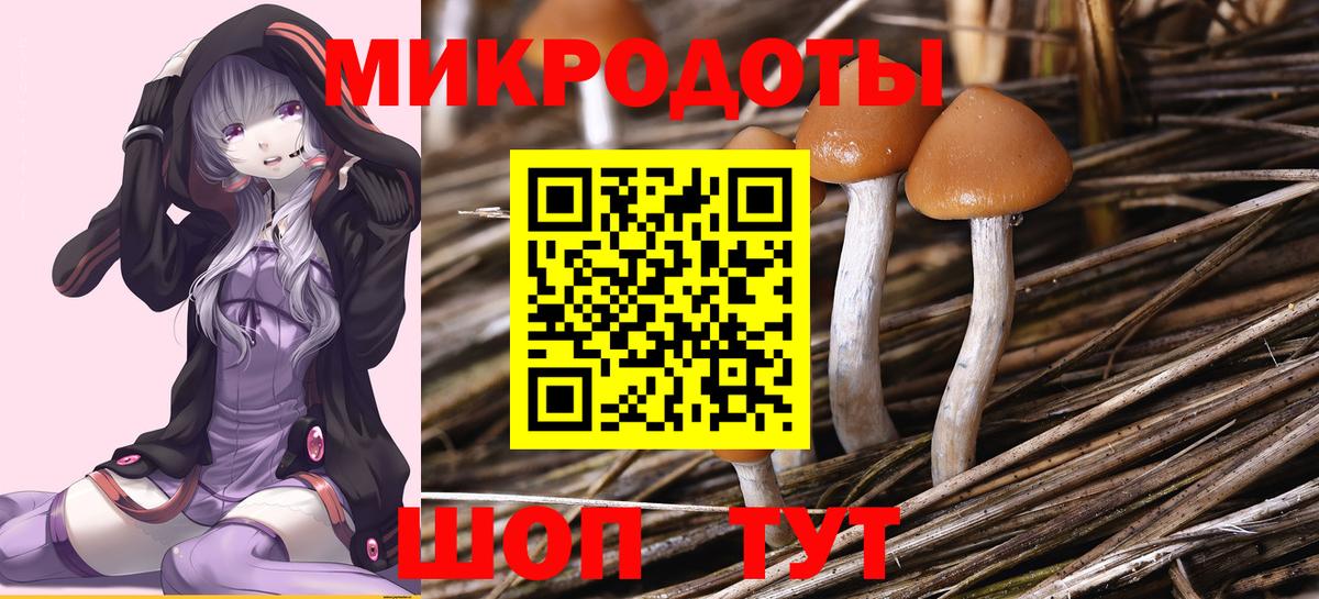 Галлюциногенные грибы GOLDEN TEACHER Ярцево