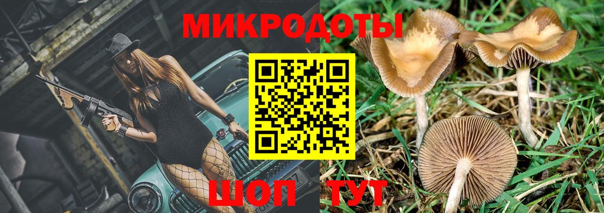 Ярцево  Псилоцибиновые грибы Magic Shrooms  Вход с VPN 